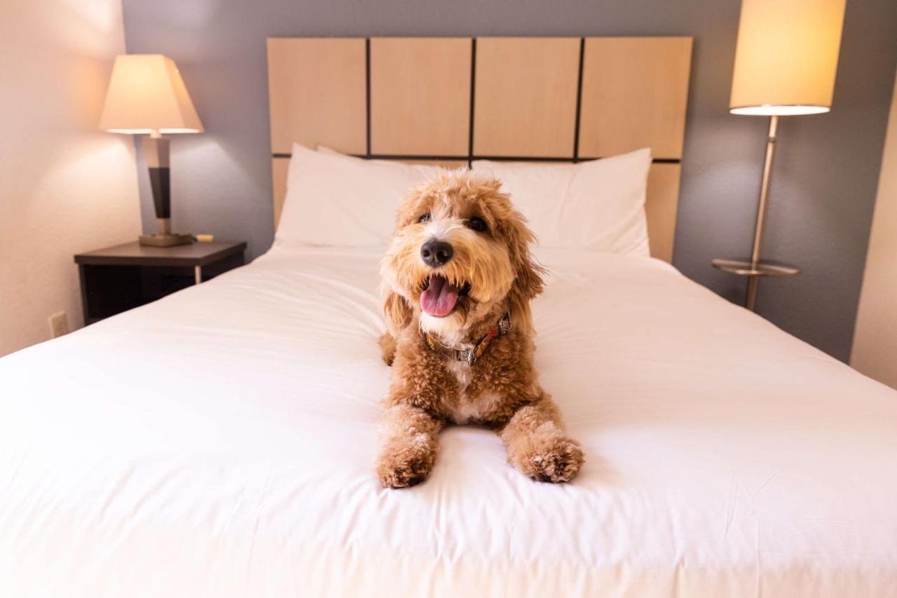 Sonesta Simply Suites Arlington Bagian luar foto